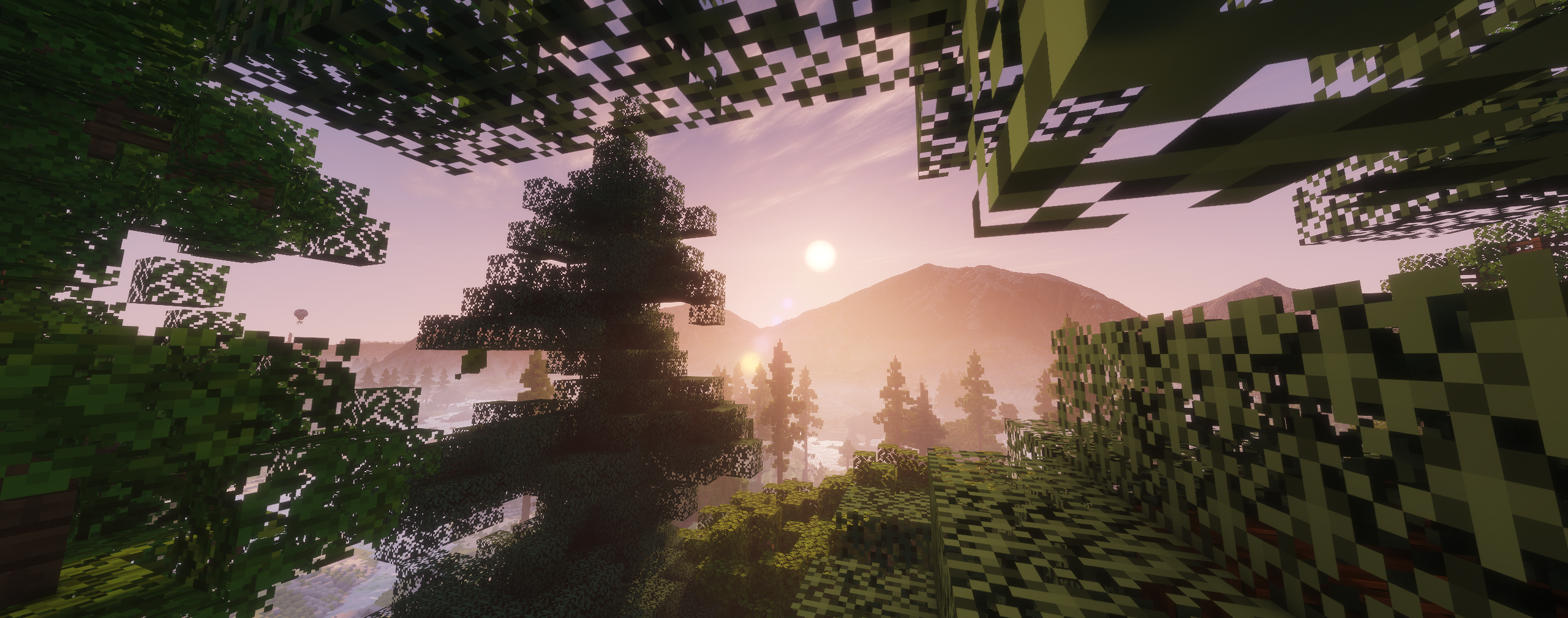 Sunrise through forest leaves overlooking WolfClan terrain